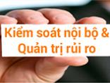 Kiem-soat-noi-bo-phuong-tien-song-con-cua-doanh-nghiep-2017-03-14-04-48-08-small