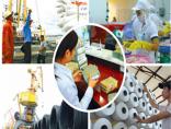 Kinh-te-viet-nam-se-co-co-hoi-giau-truoc-khi-gia-2016-12-06-02-37-30-small